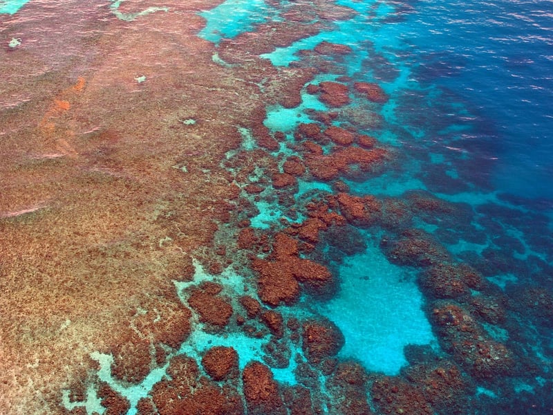The Great Barrier Reef, Australia
